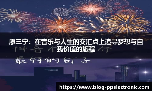 pp电子