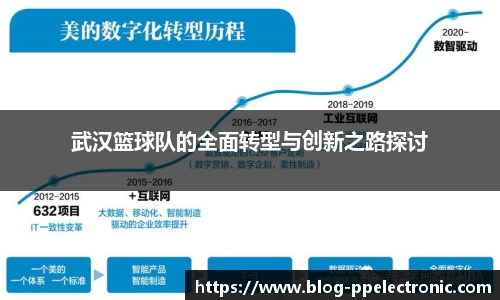 pp电子官网