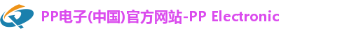 PP电子(中国)官方网站-PP Electronic